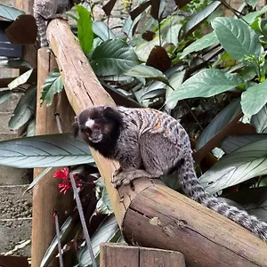 Aldeia Niura Opy , Florianópolis Brasil